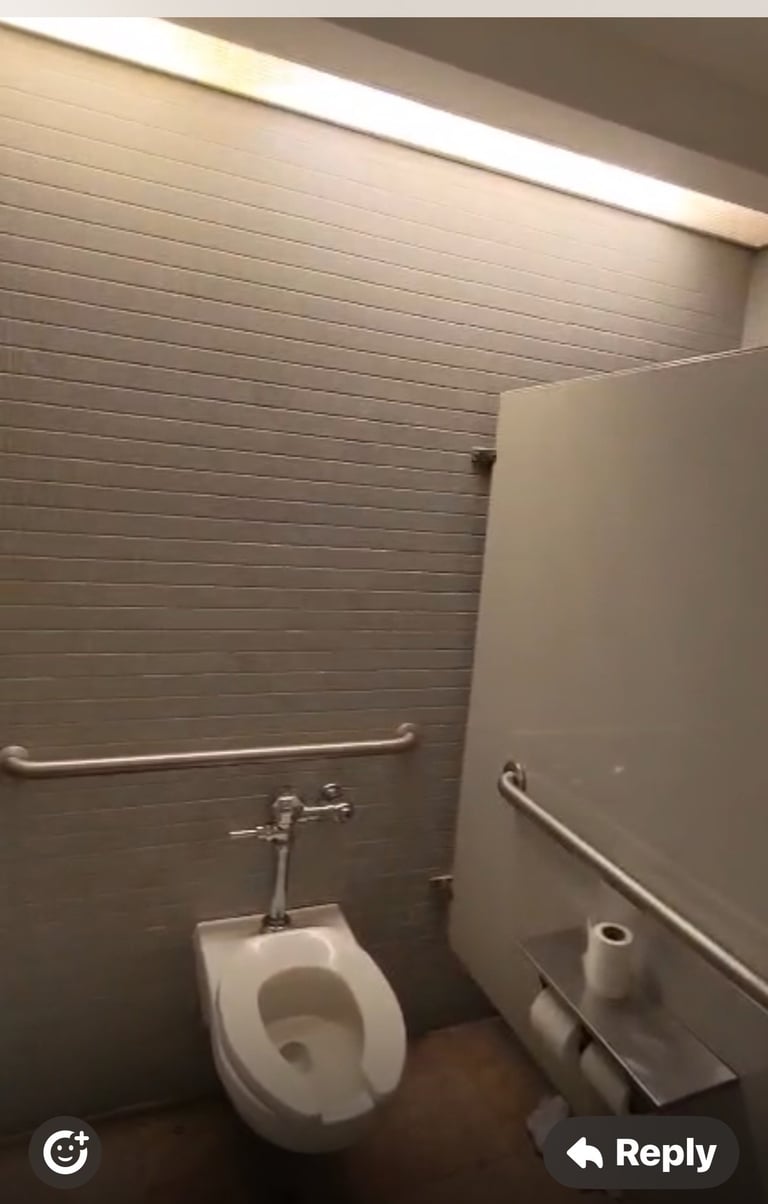 Modern bathroom interior with white toilet, grab bars, tiled walls, and linear ceiling light
